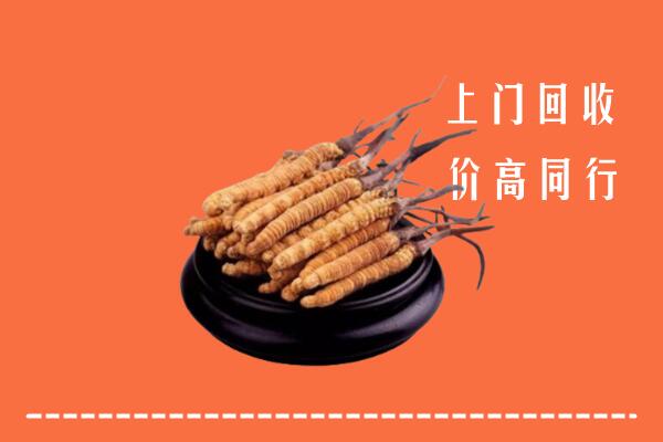 六盘水回收散虫草