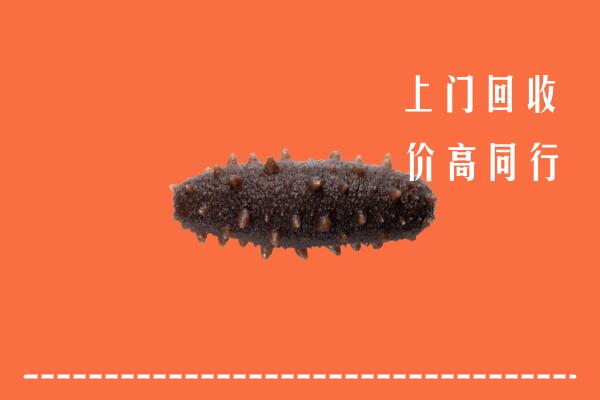 六盘水高价回收海参