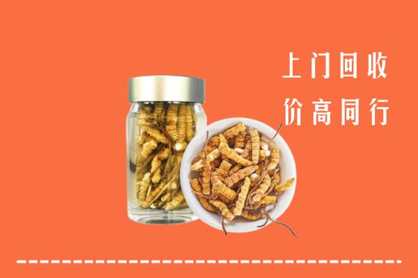 六盘水回收冬虫夏草