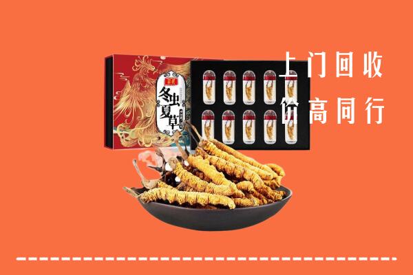 六盘水回收虫草